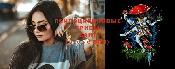мдпв Богданович