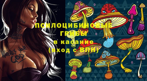 мдпв Богданович
