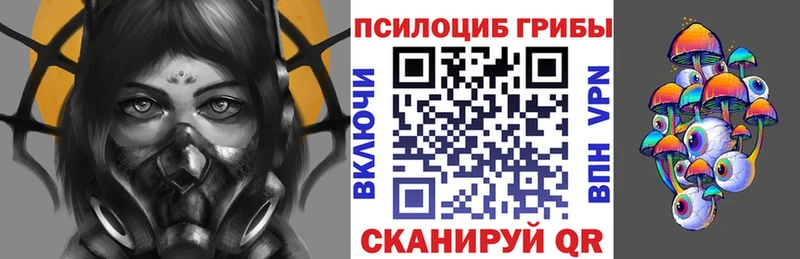 что такое   Кирово-Чепецк  Псилоцибиновые грибы мицелий 